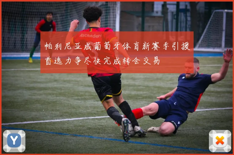 帕利尼亚成葡萄牙体育新赛季引援首选力争尽快完成转会交易